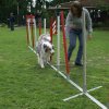 agility 2011-07-24